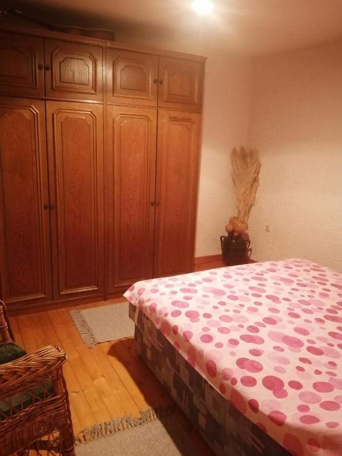 Apartman Nebojsa Rudnik Exterior foto